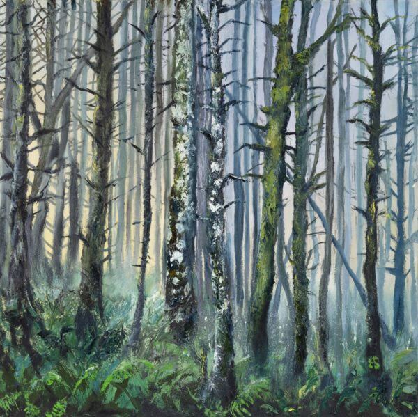 forest dawn