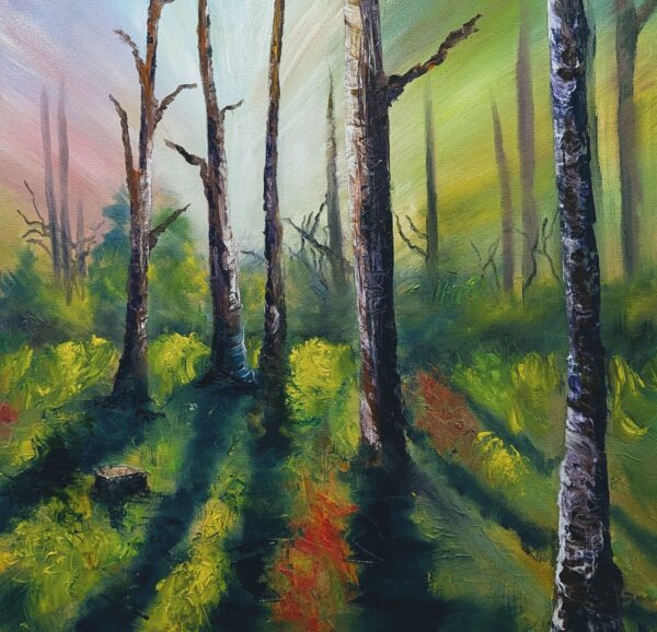 light in the forest