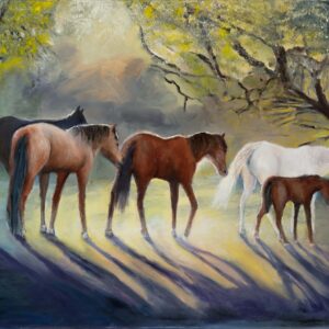 salt river mustangs