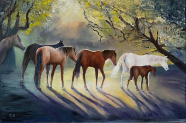salt river mustangs